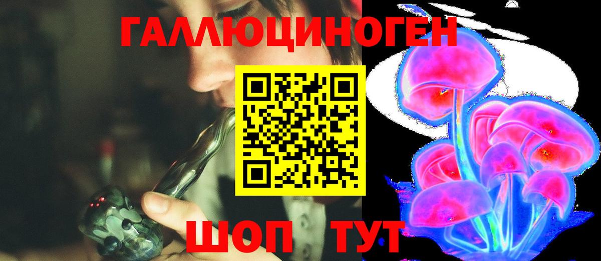 Зеленокумск  Галлюциногенные грибы Psilocybine cubensis  Вход с VPN 