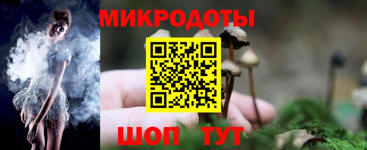 Псилоцибиновые грибы Cubensis Зеленокумск